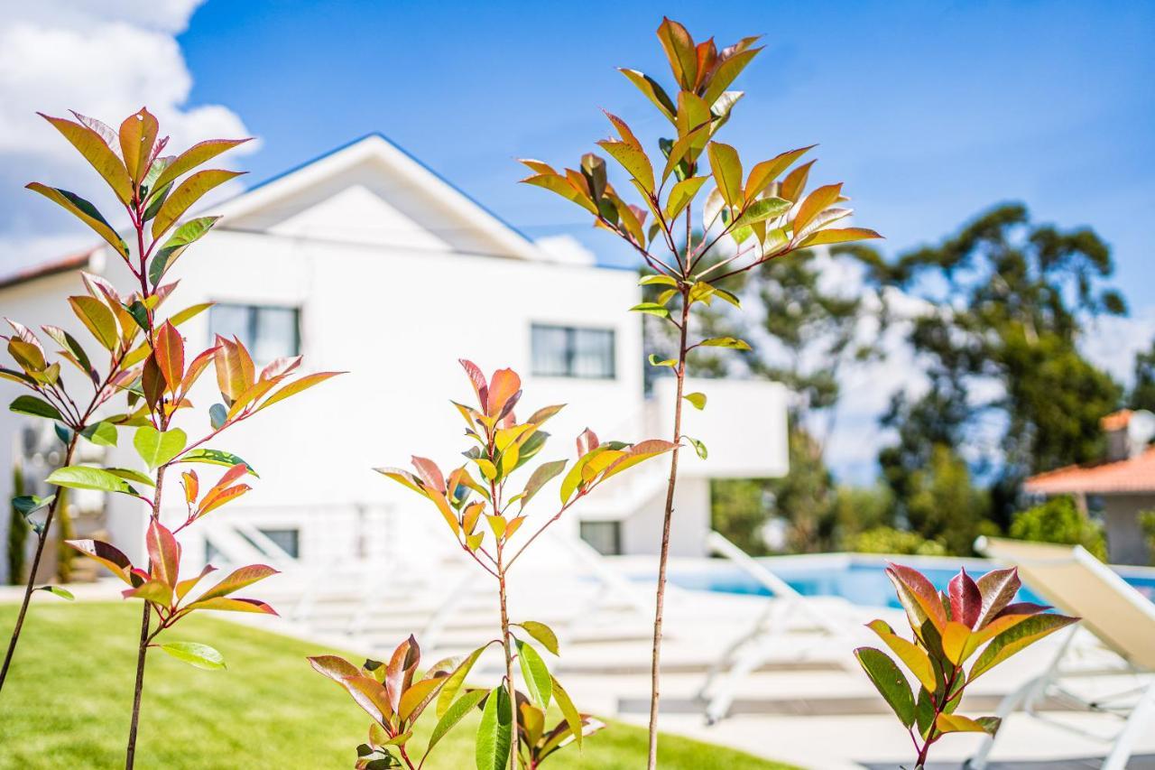Villa Casas Da Padaria Celorico De Basto Esterno foto